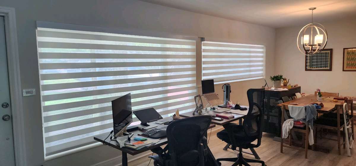 blinds And Shades Cortinas Y Persianas Zebra Shades