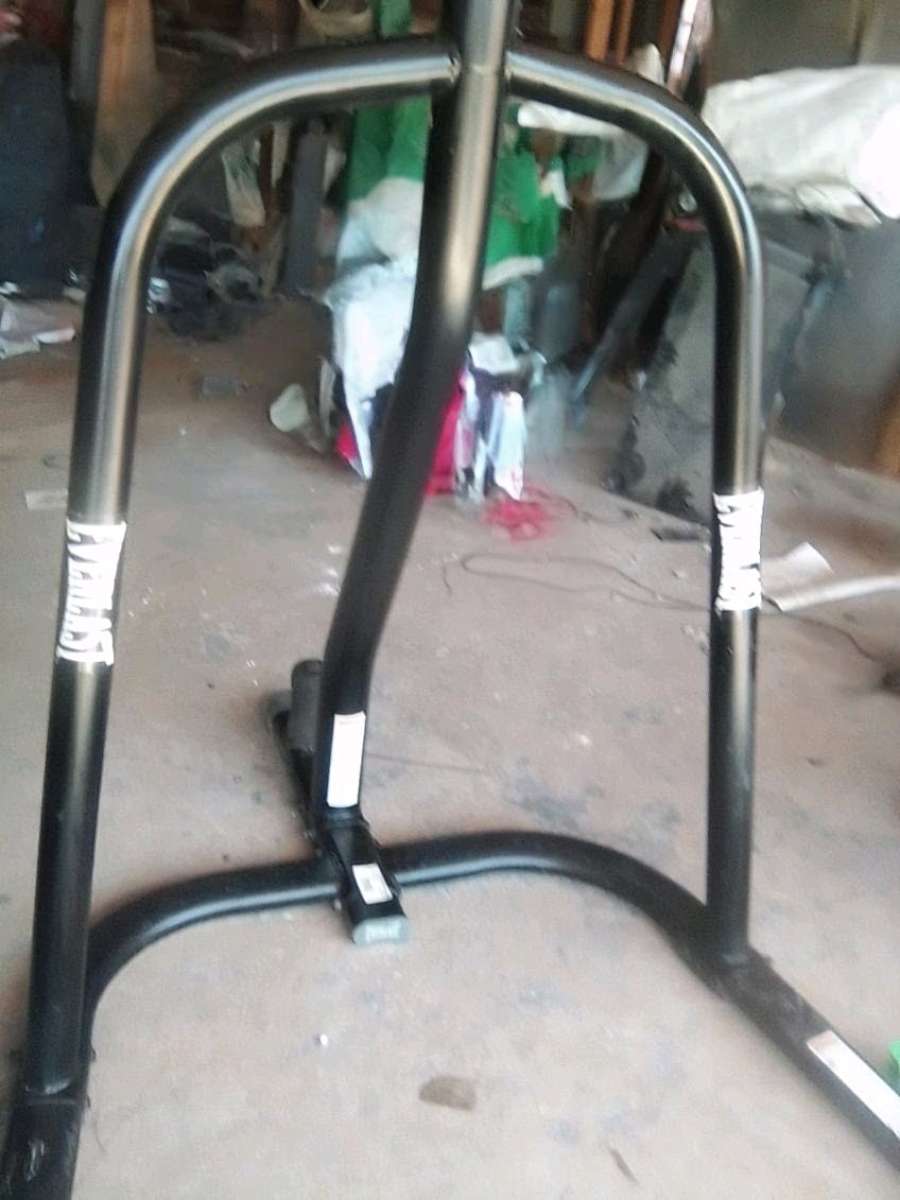 Everlast Punching Bag Equipment