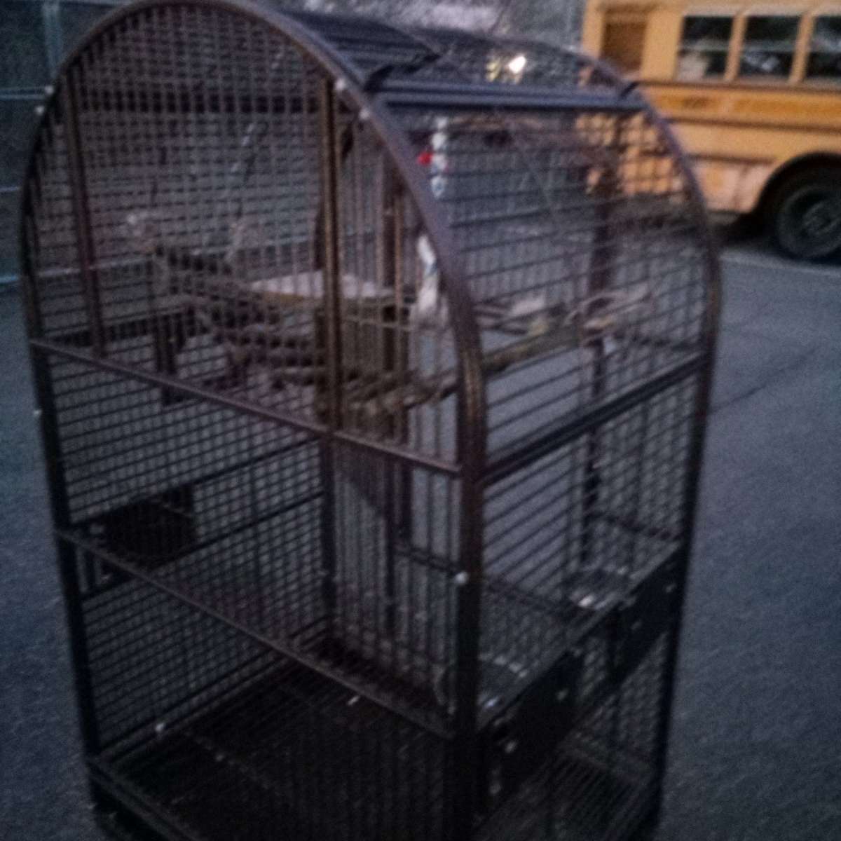 bird cage