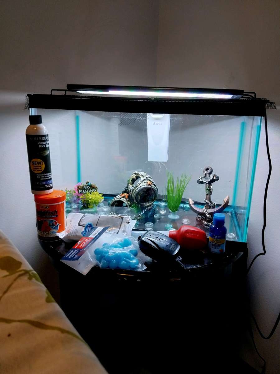 10 gallon fish tank and a goldfish kit with everything