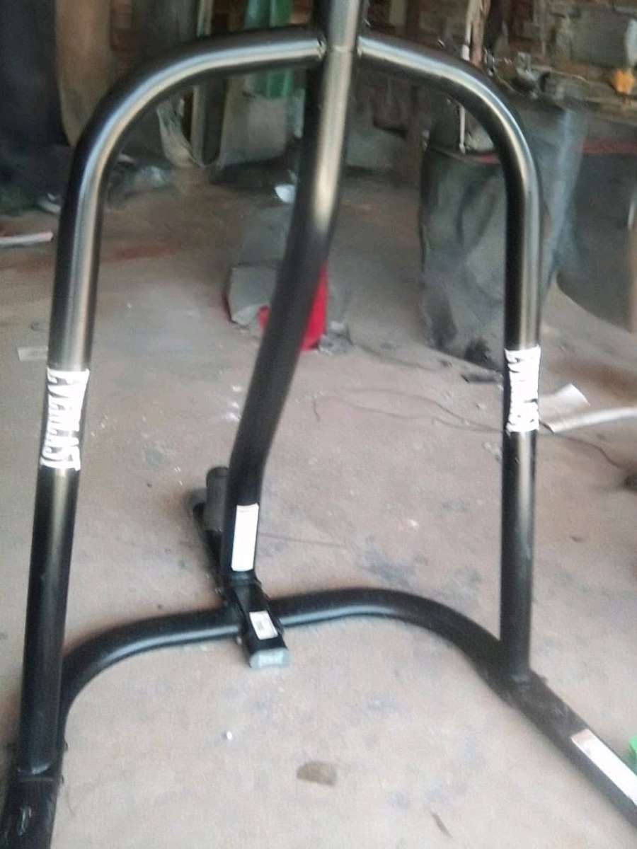 Everlast Punching Bag Equipment