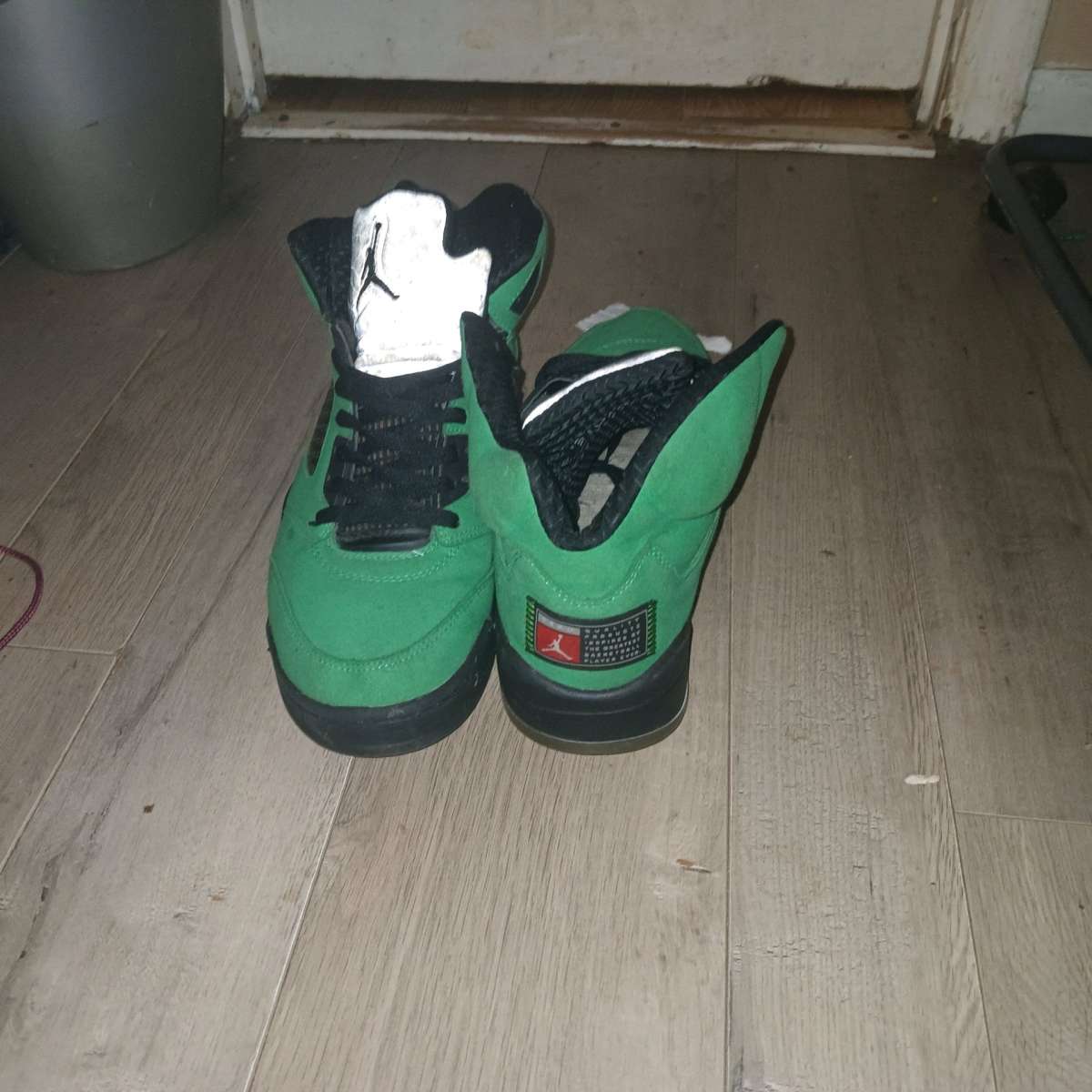 Jordan Retro 5 SE Oregon