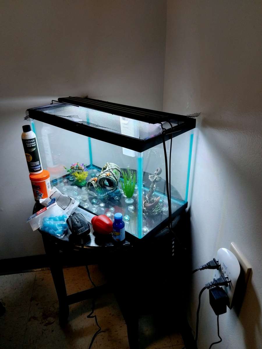 10 gallon fish tank and a goldfish kit with everything
