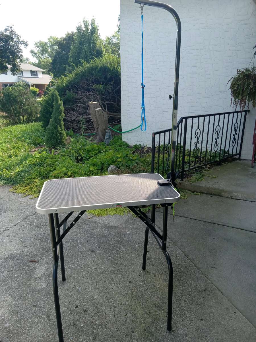 Foldable grooming table with adjustable arm
