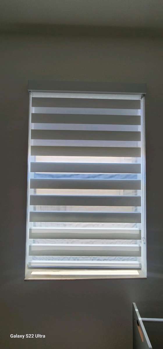 blinds And Shades Cortinas Y Persianas Zebra Shades