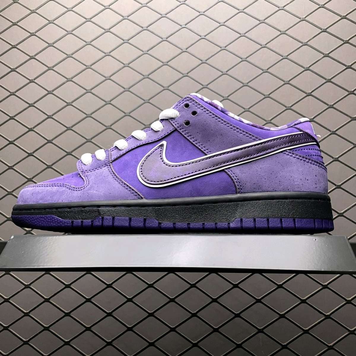 Concepts X NK SB Dunk Purple Lobster