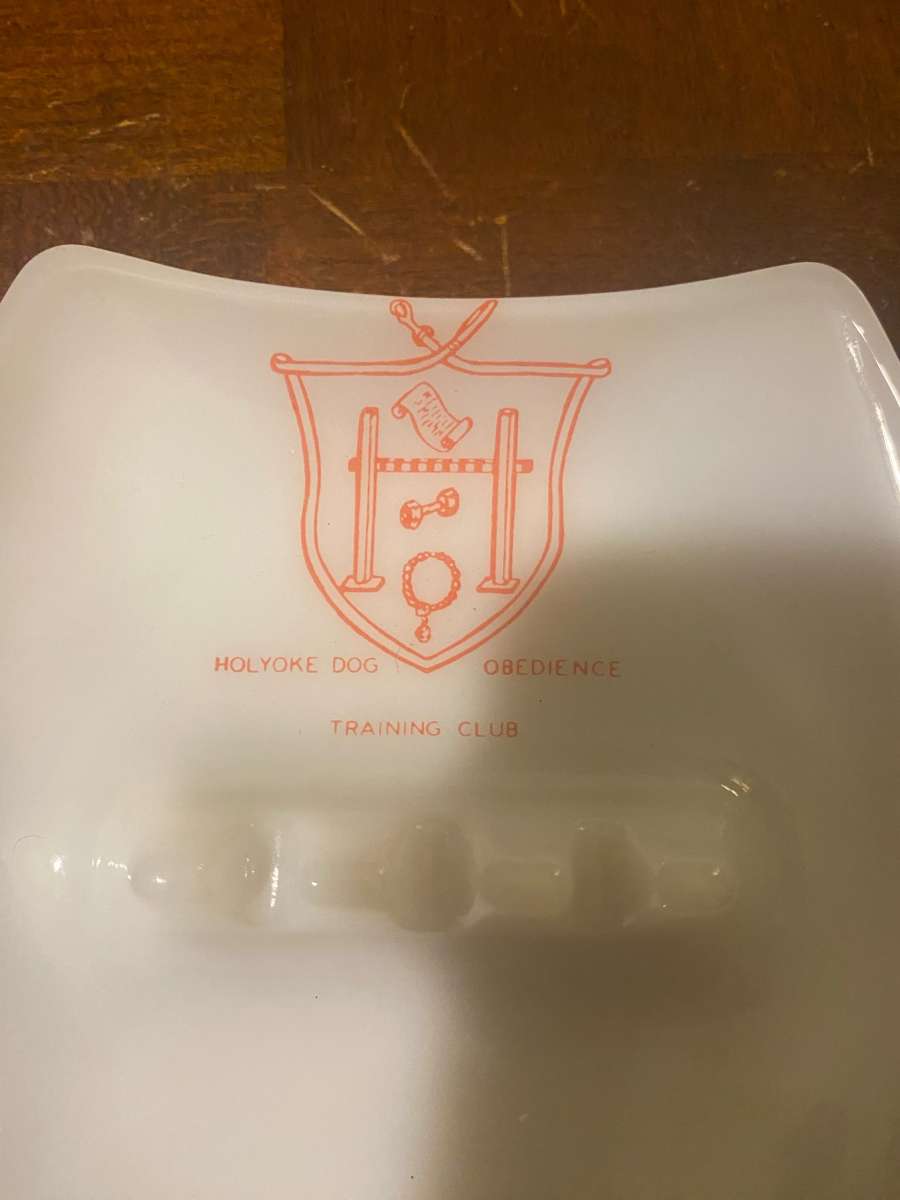 Ashtray Dog Kennel Training Club