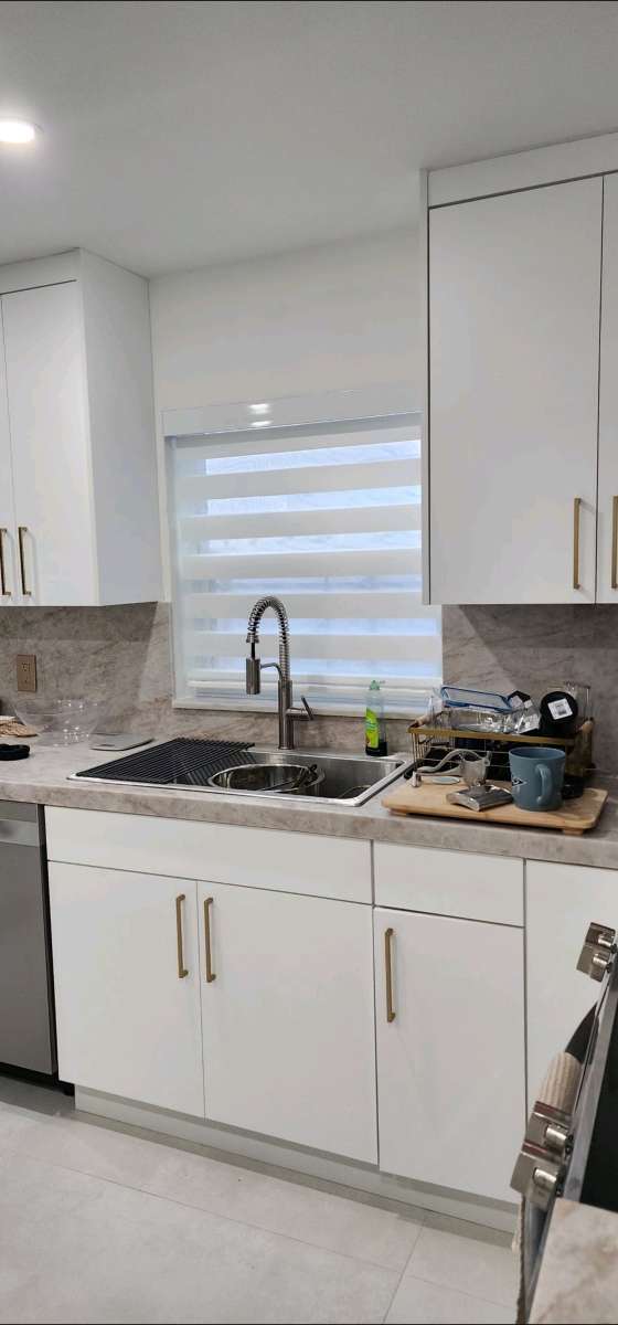 zebra Shades lights filtering o roller shades blackout o scr