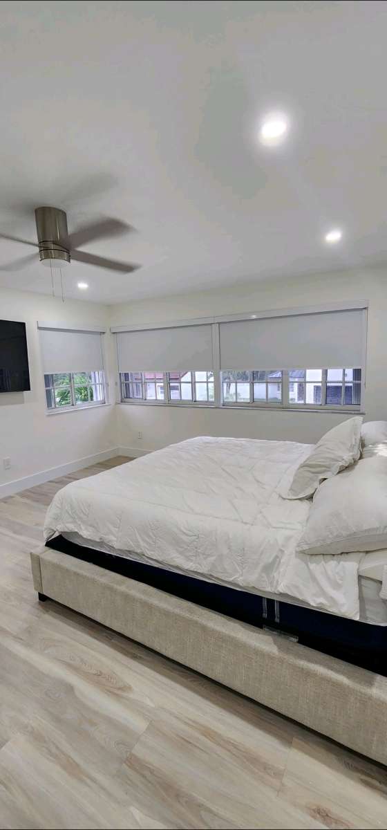 zebra Shades lights filtering o roller shades blackout o scr