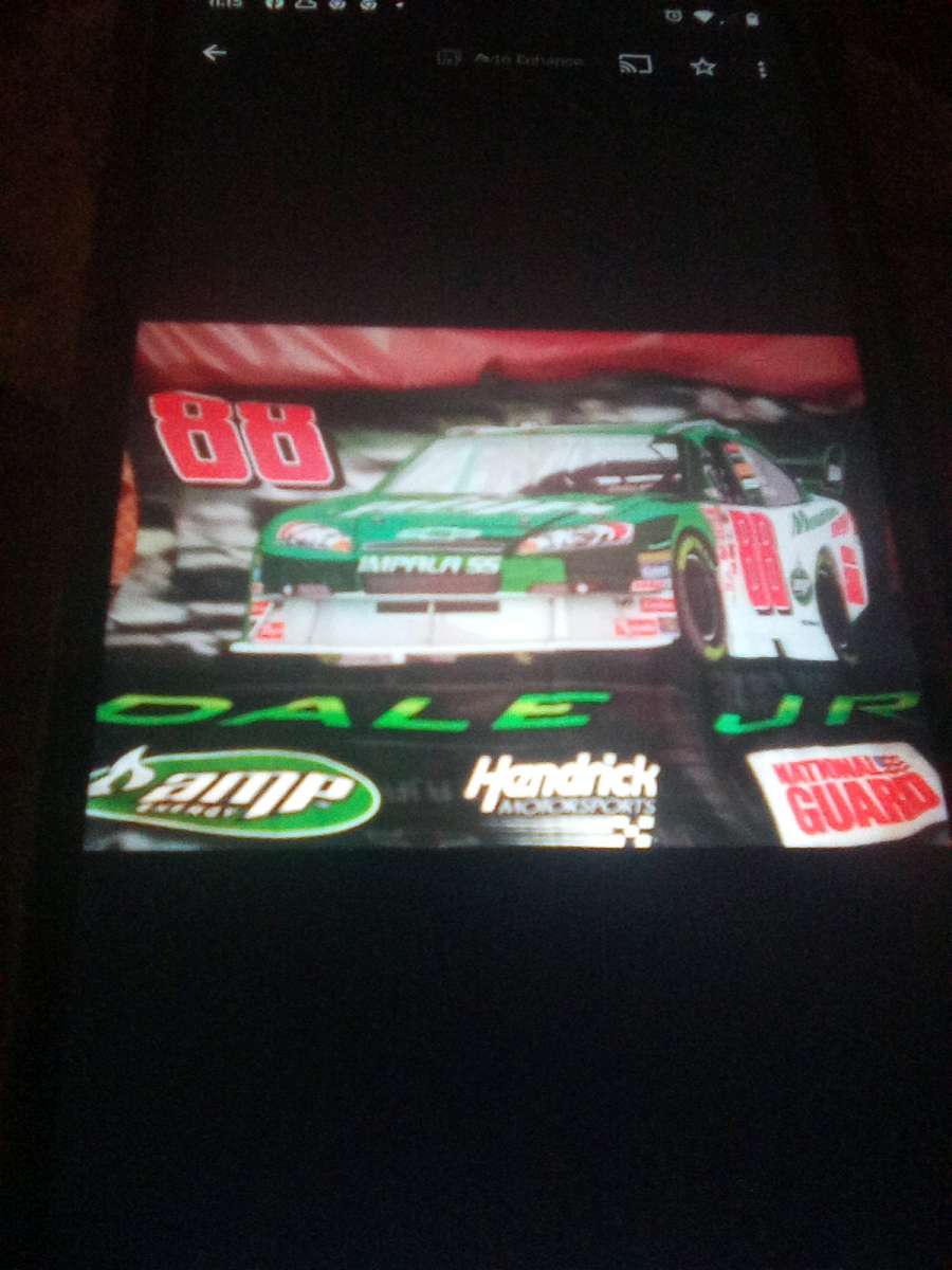Dale Earnhardt jr