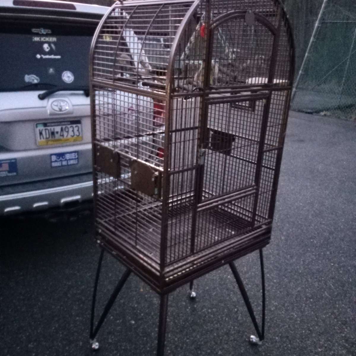 bird cage