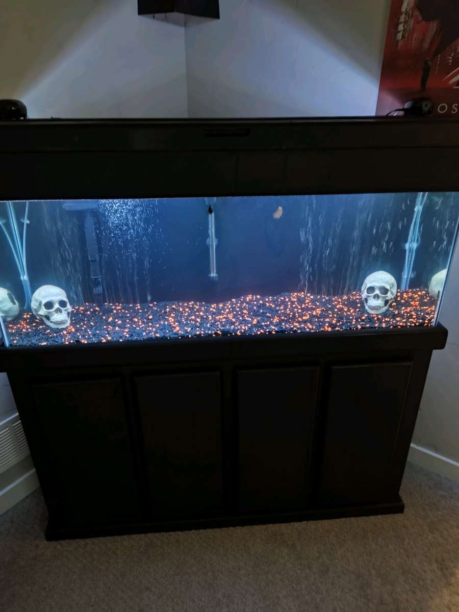 50 gallon fish tank