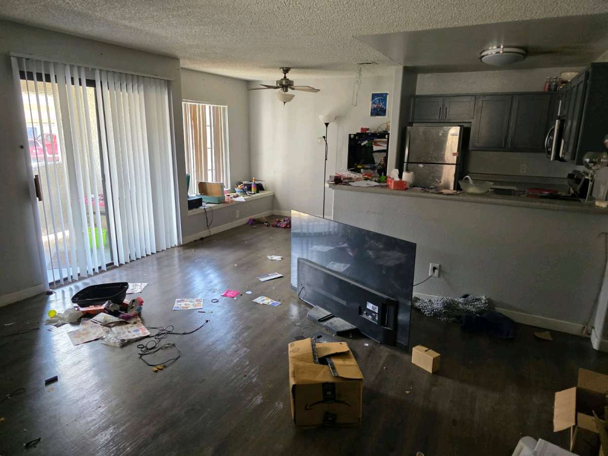 junk Removal