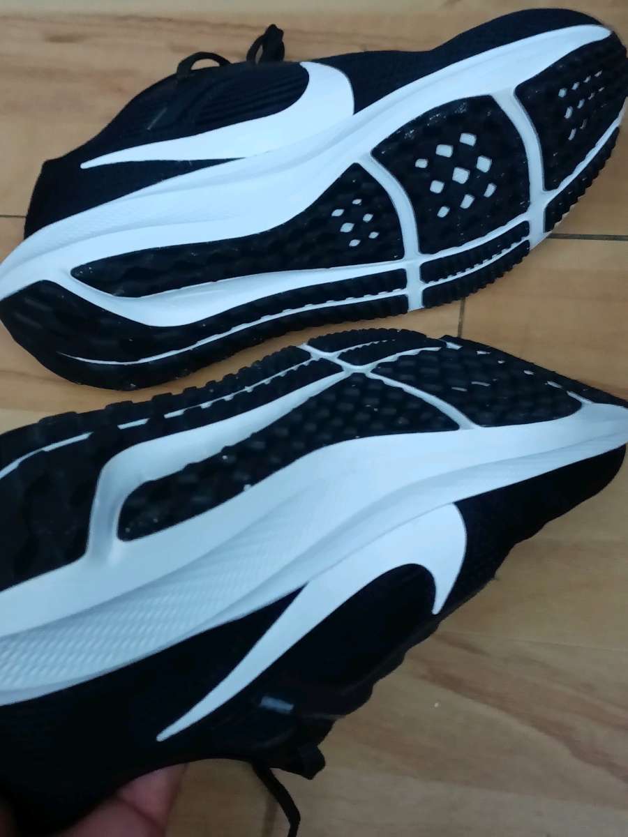 Nike Pegasus shoes Brand New