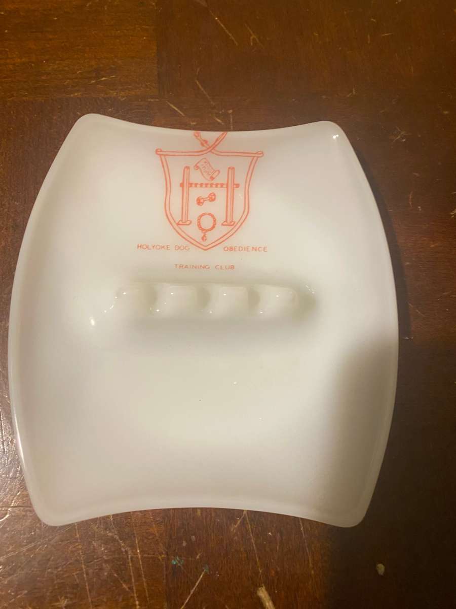 Ashtray Dog Kennel Training Club