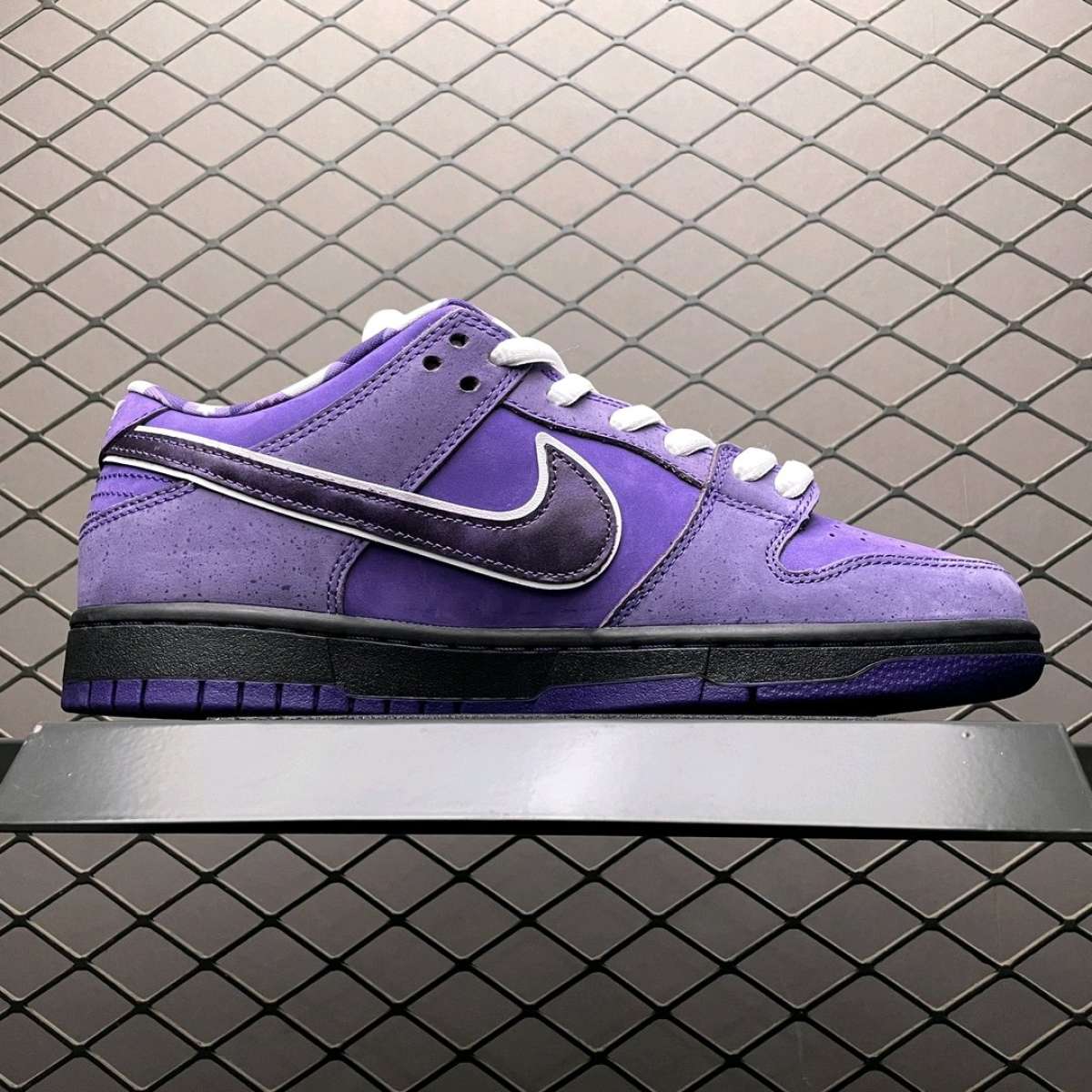 Concepts X NK SB Dunk Purple Lobster