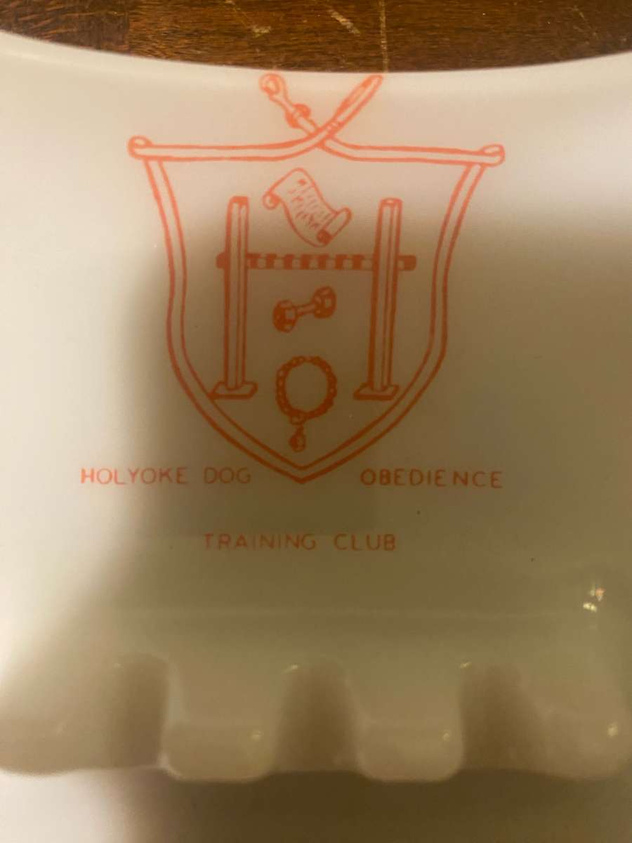 Ashtray Dog Kennel Training Club