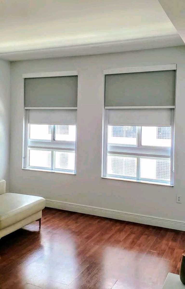 zebra Shades Roller shades screen o blackout