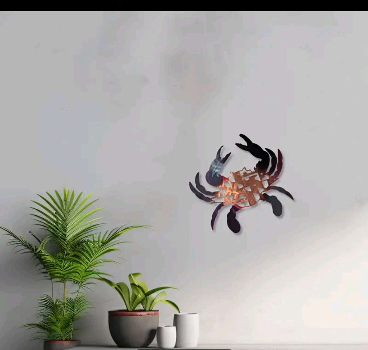 Maryland Flag Crab