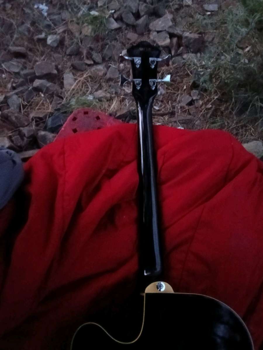 acoustic electric guitar bass