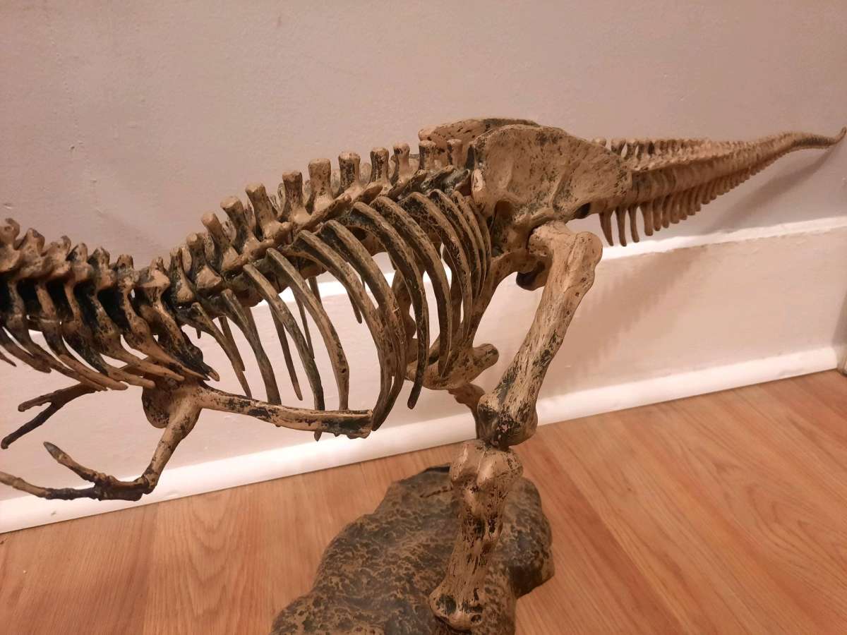 Tyrannosaurus Rex TRex model skeleton puzzle science