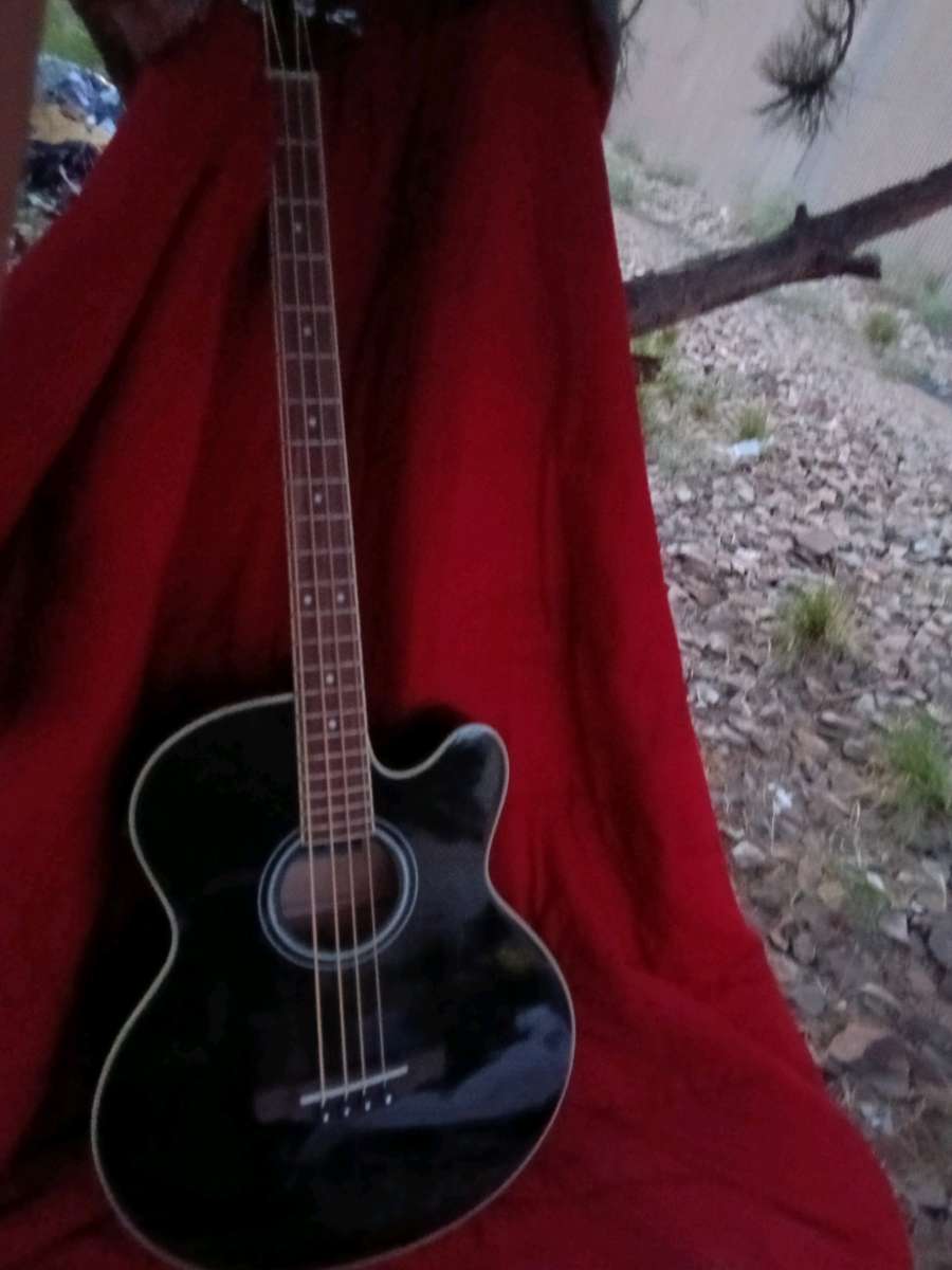 acoustic electric guitar bass