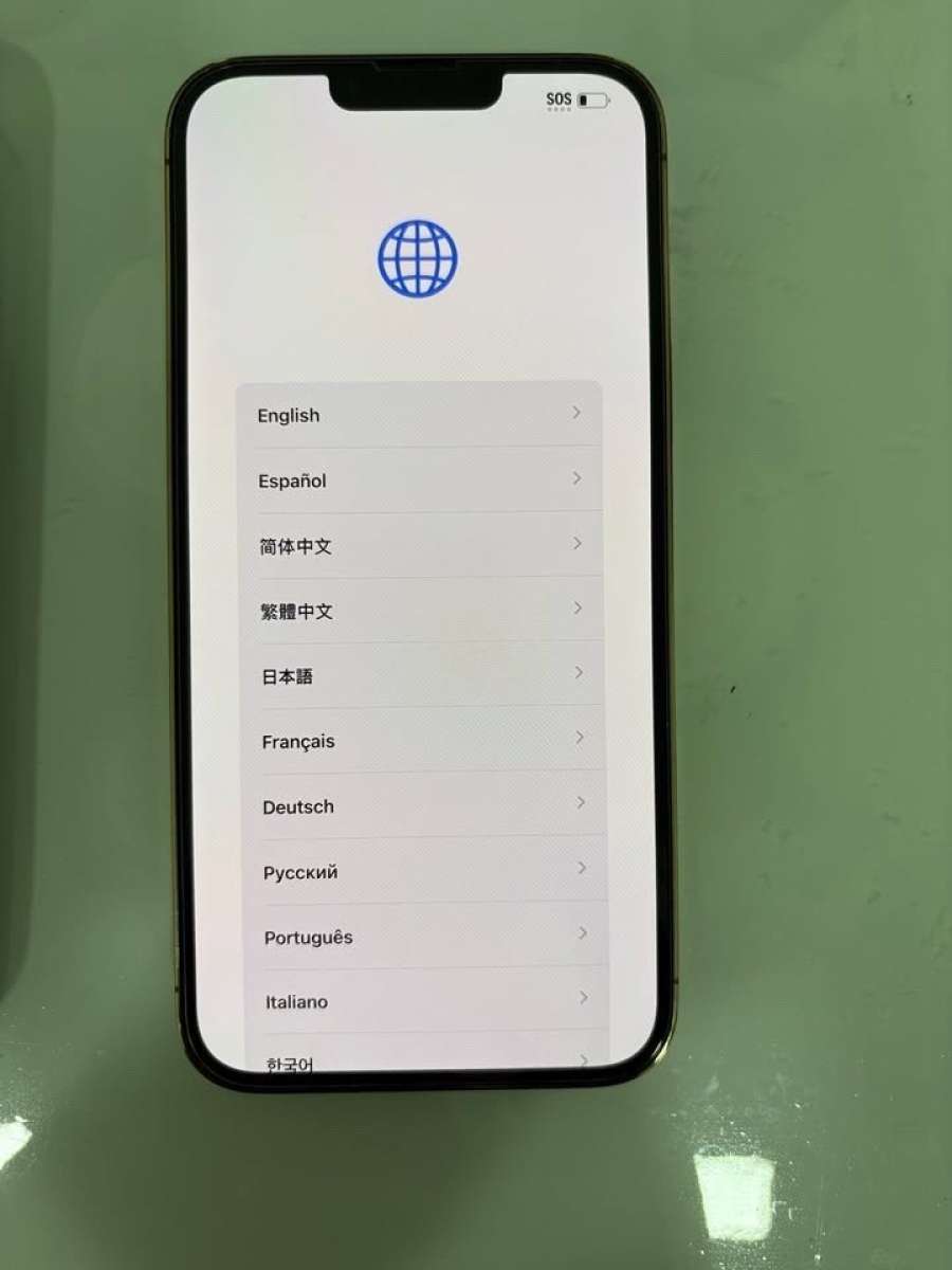 iPhone 13 Pro Max