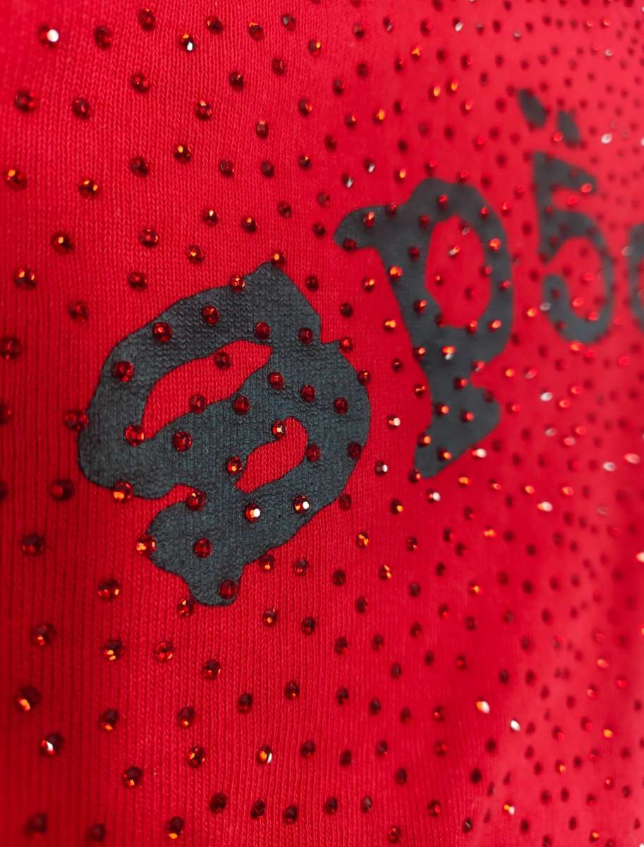 Red VSS Sp5der hoodie