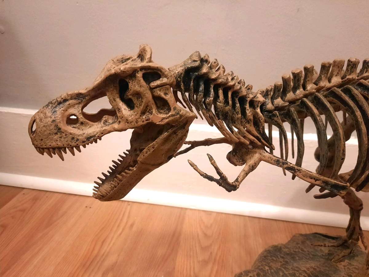 Tyrannosaurus Rex TRex model skeleton puzzle science