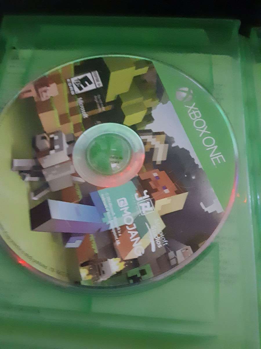minecraft video game