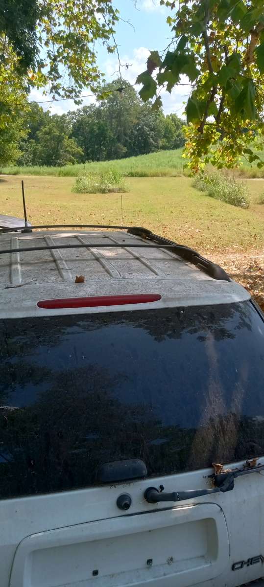 Chevy trailblazer trailblazer 2003