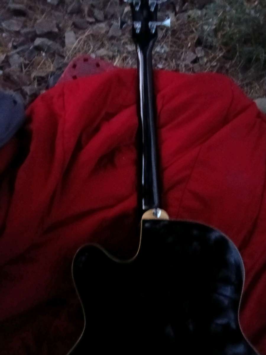 acoustic electric guitar bass