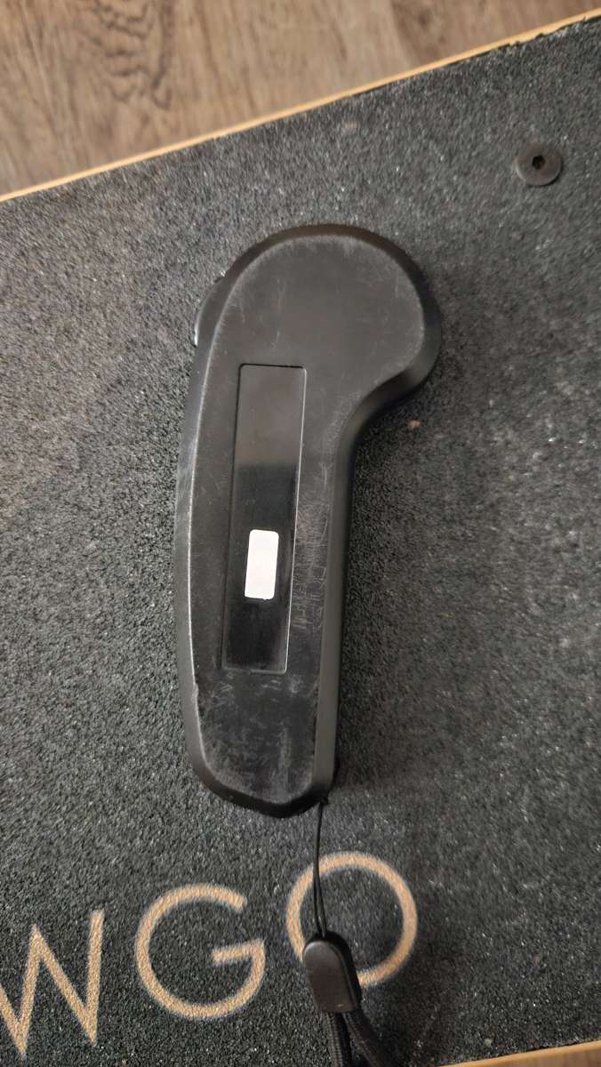 Wowgo 2s Electric Longboard