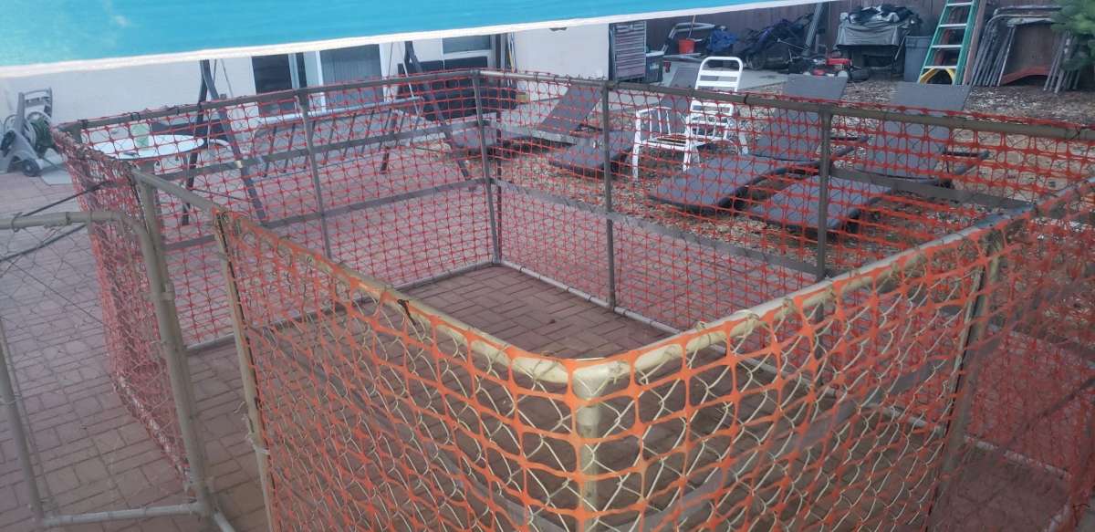 10x8x4ft tall dog kennel