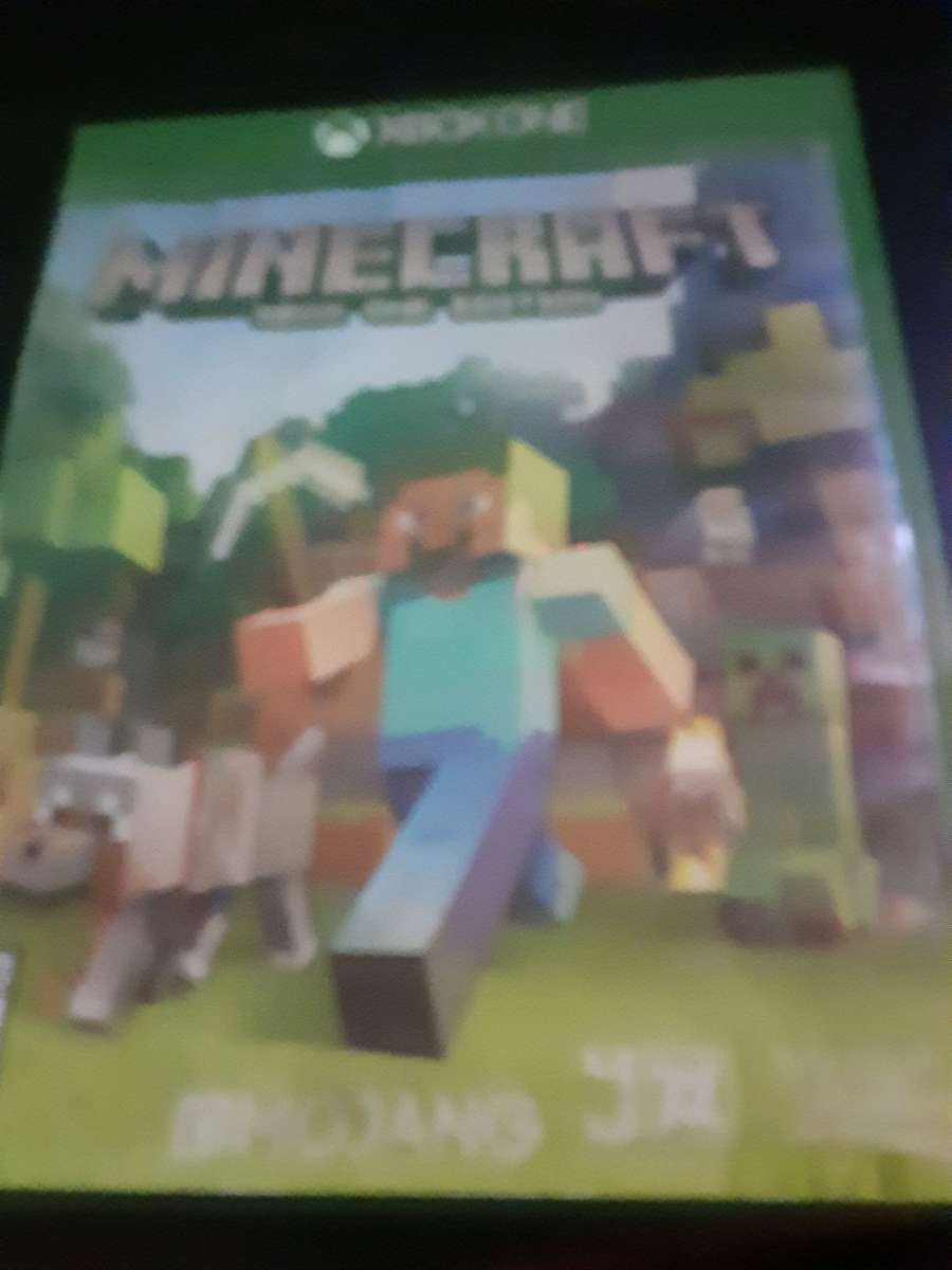 minecraft video game