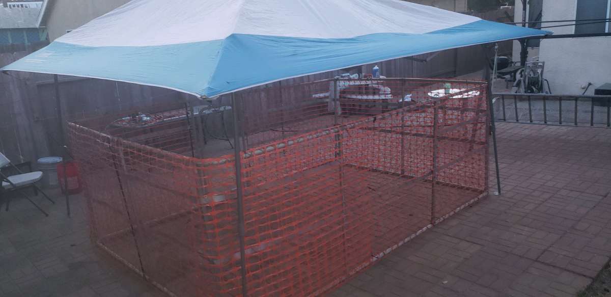 10x8x4ft tall dog kennel