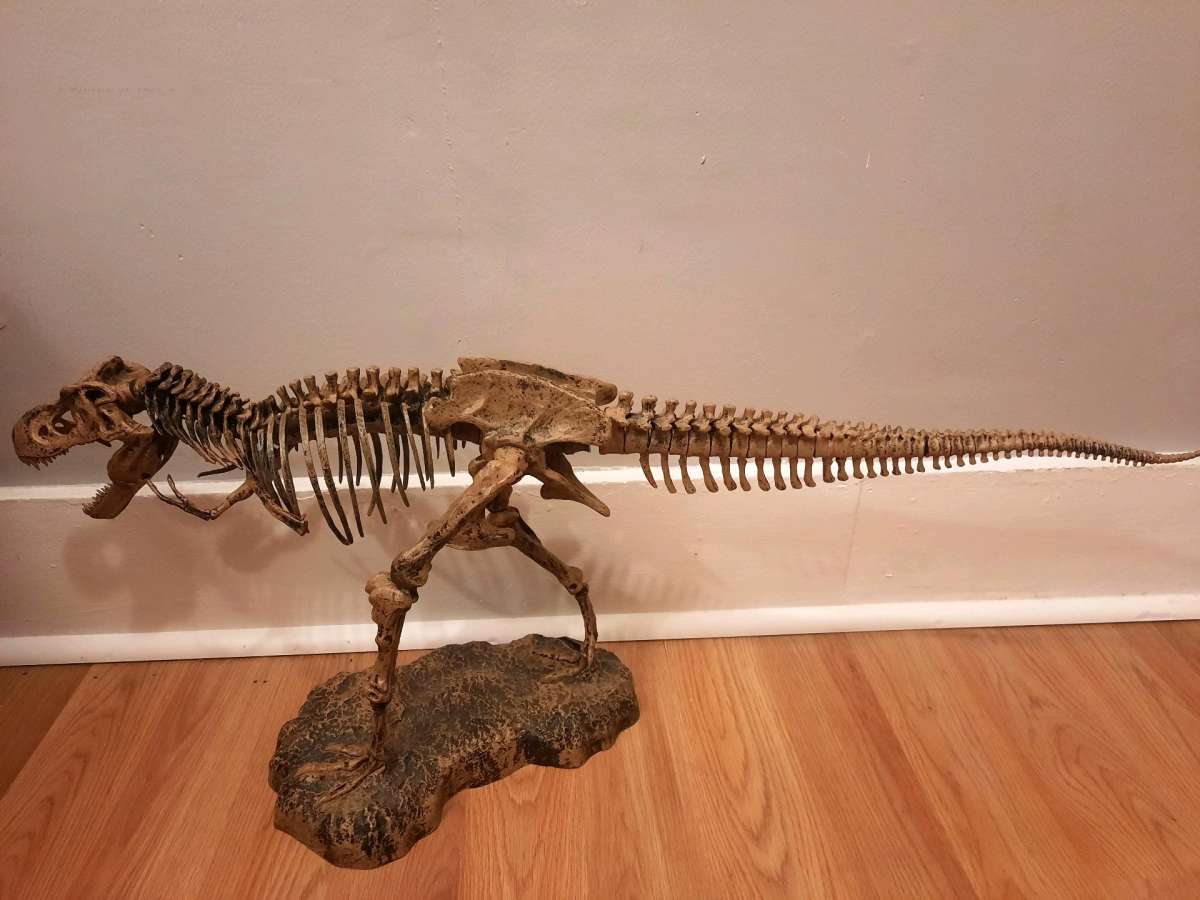 Tyrannosaurus Rex TRex model skeleton puzzle science
