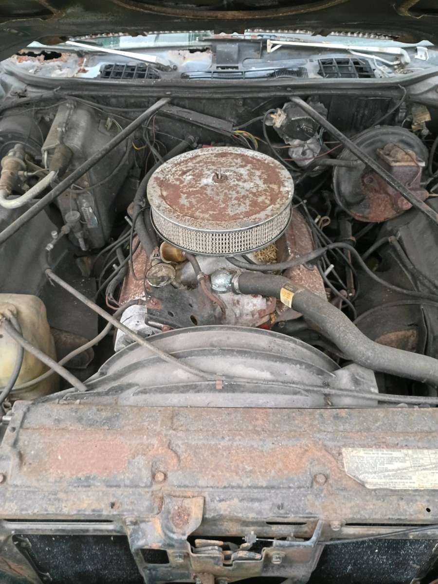 Chevelle Malibu 1973
