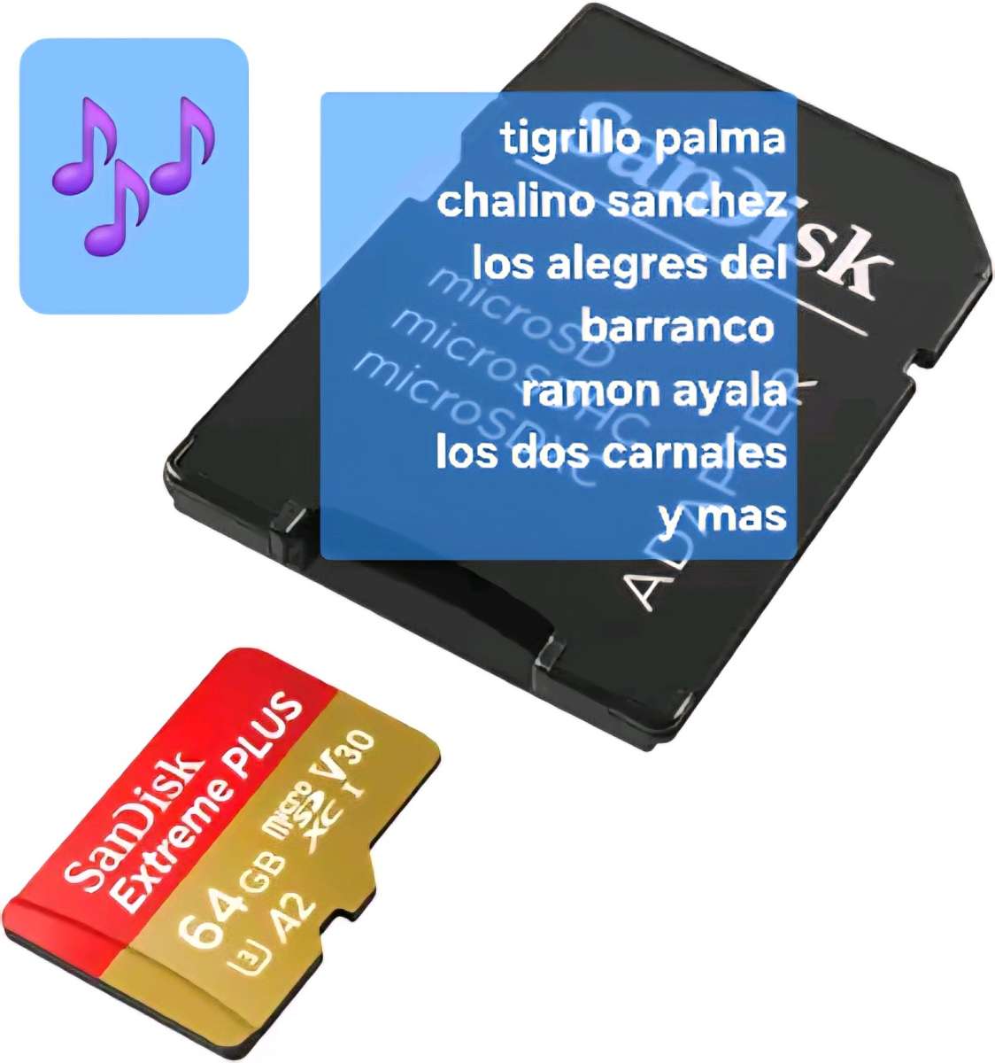 sd card Musica
