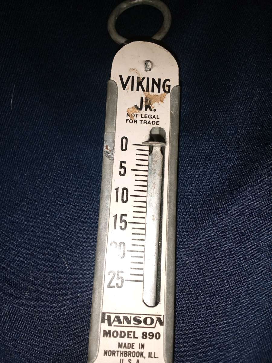 Viking hand scale