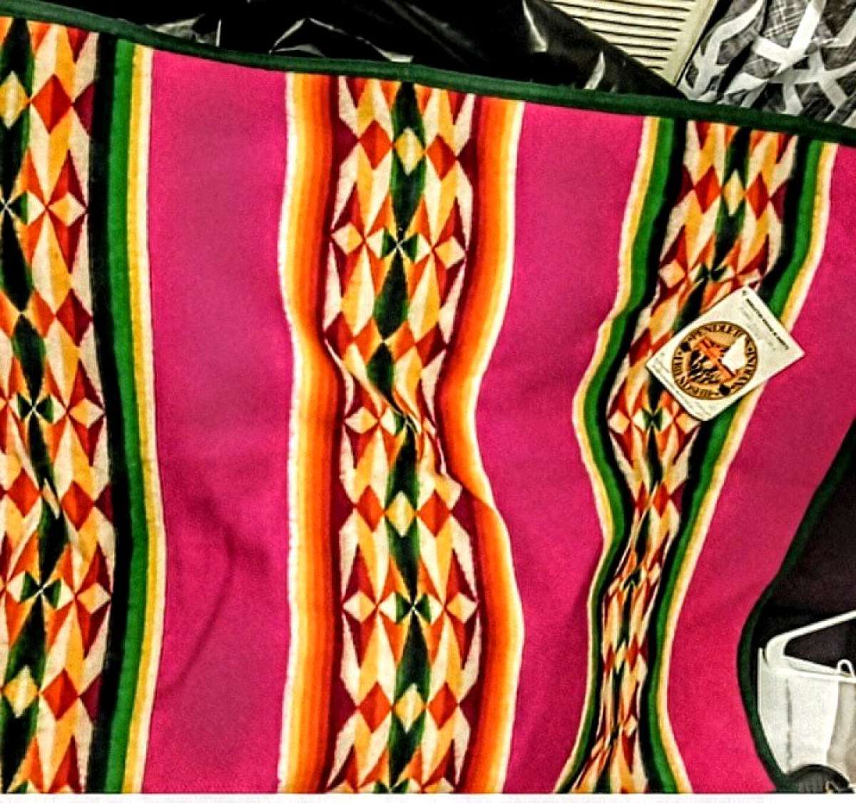 Pendleton Beaver State Vintage Blanket