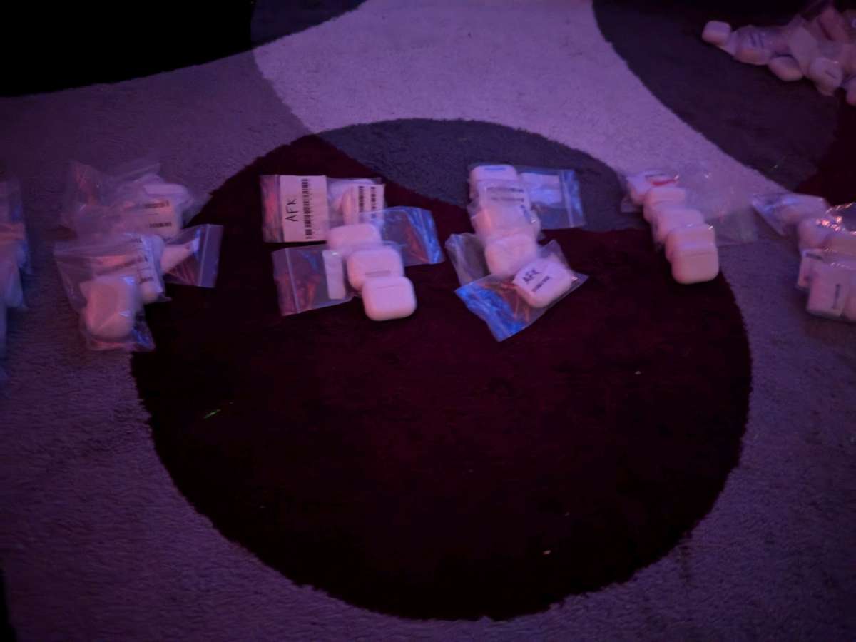 Apple Max headphones Apple earbuds