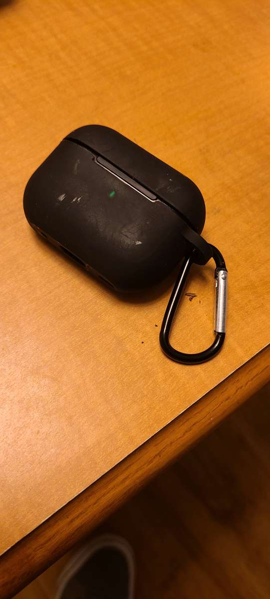 pro buds v2 blackcase