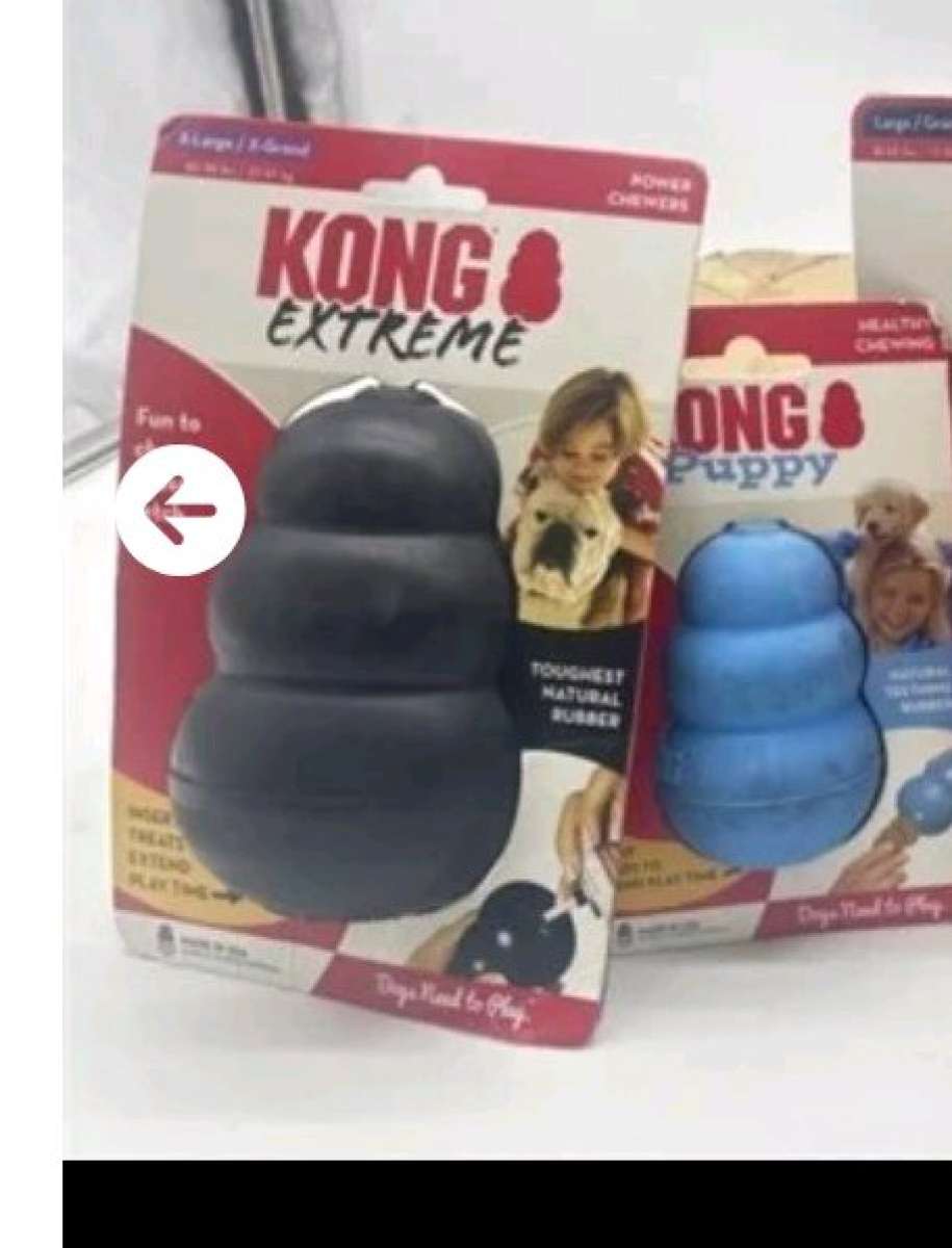 Kong dog toys