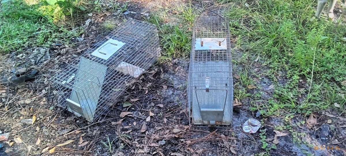 two medium size animal traps