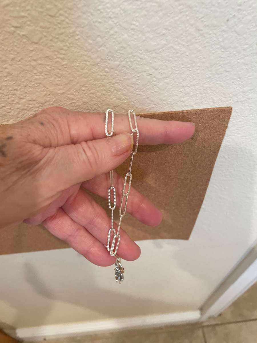 Popular necklace with charm holder and charms