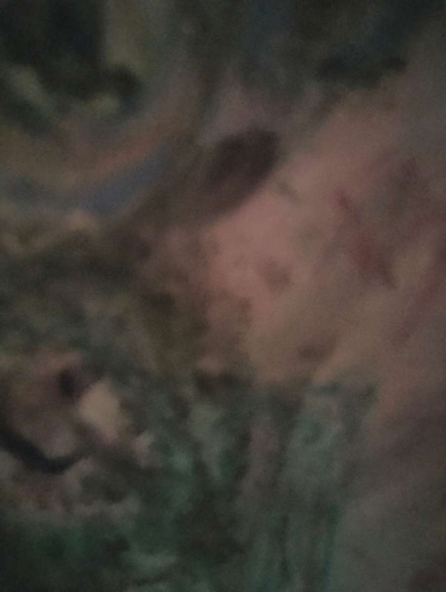 looking for art supplies