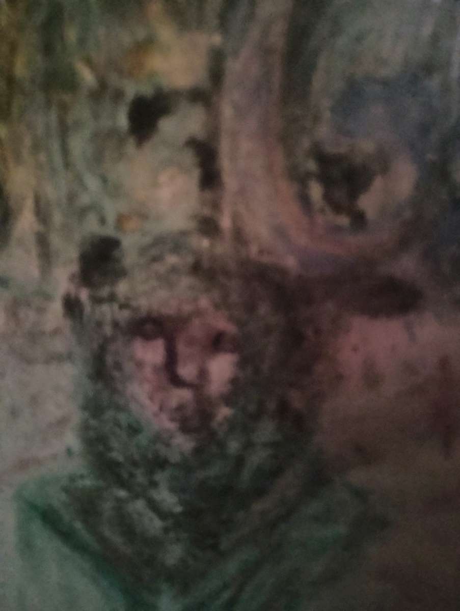 looking for art supplies