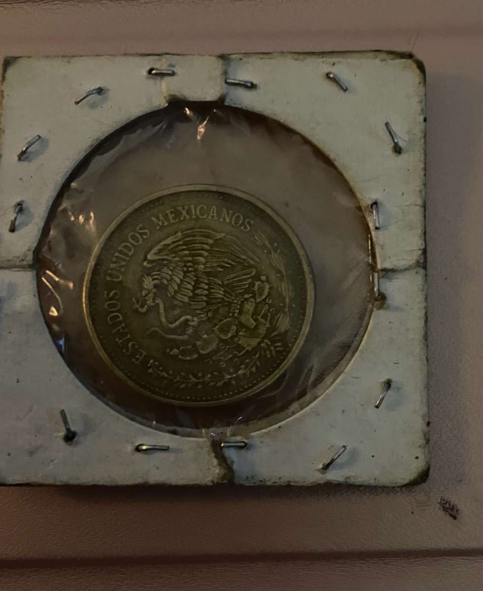 Rare 100 pesos coin