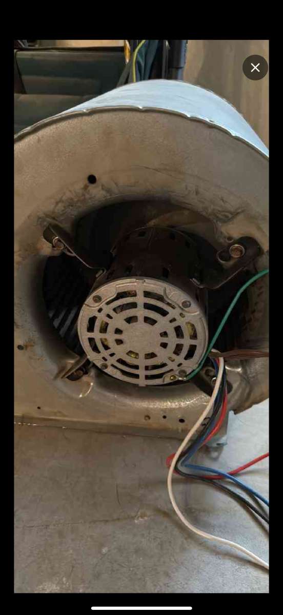 Blower Fan Motor
